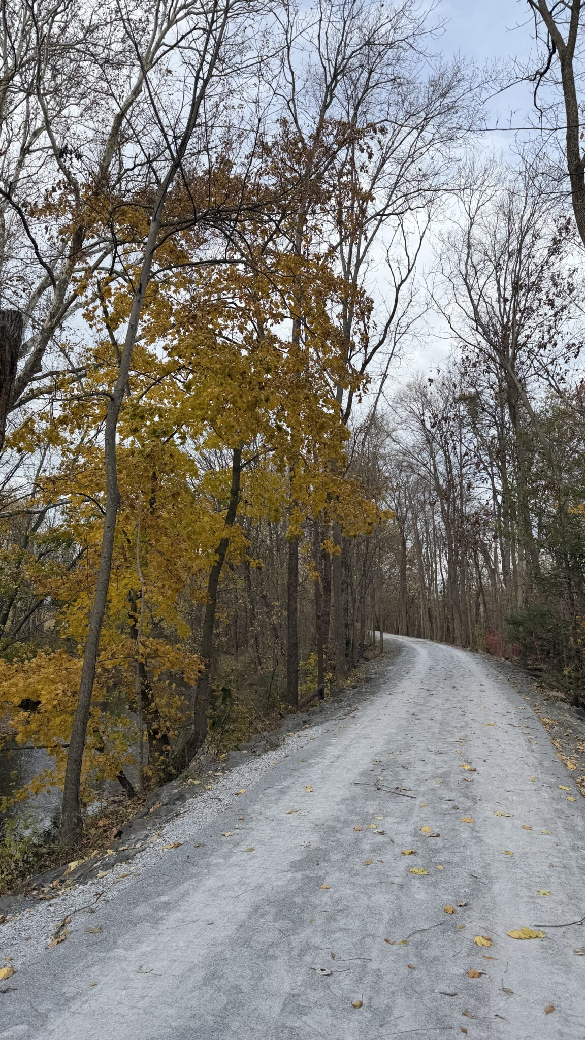 the road not taken, storytelling strategy