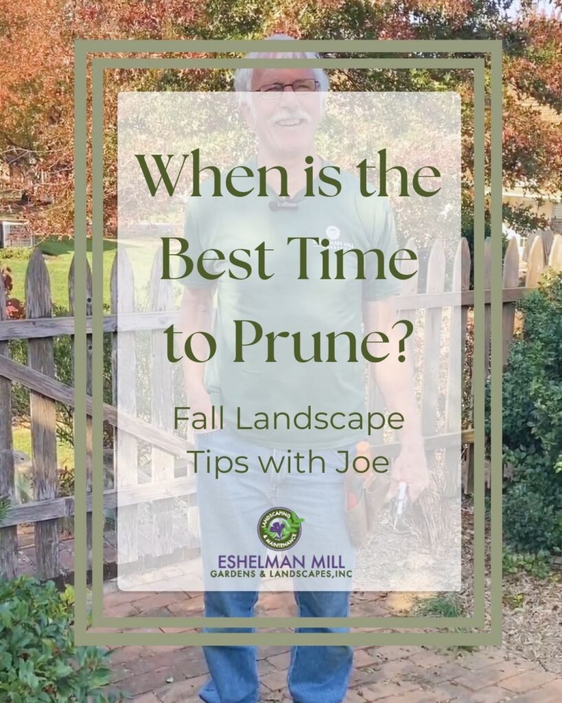 Getting comfortable on camera, behind the scenes, video content creation